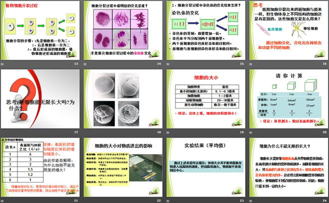 《细胞通过分裂而增殖》PPT（3）