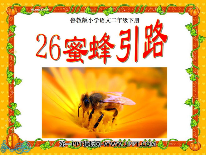"Bees Lead the Way" PPT courseware 7