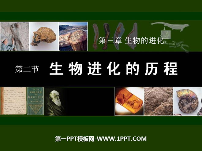 "The Process of Biological Evolution" PPT courseware on the evolution of living things