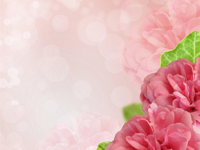 粉色花卉PPT背景圖片