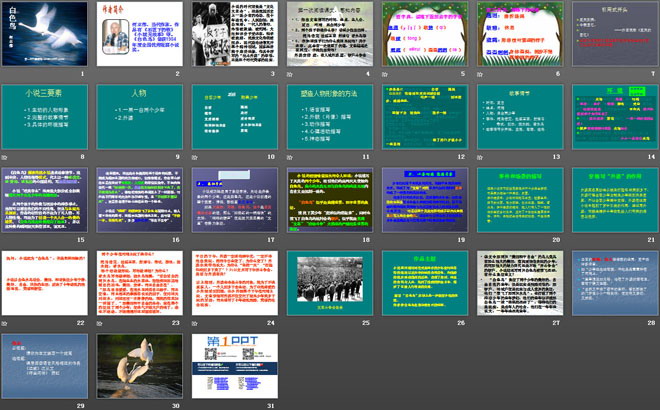 《白色鸟》PPT课件2
（2）