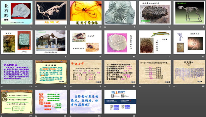《化石吟》PPT课件4（2）