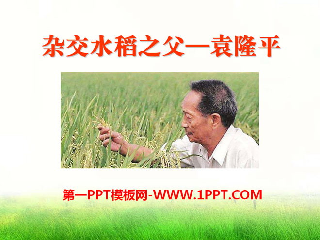 "The Father of Hybrid Rice--Yuan Longping" PPT Courseware 2