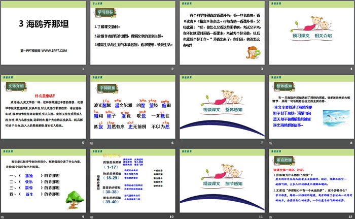 《海鸥乔那坦》PPT课件
（2）