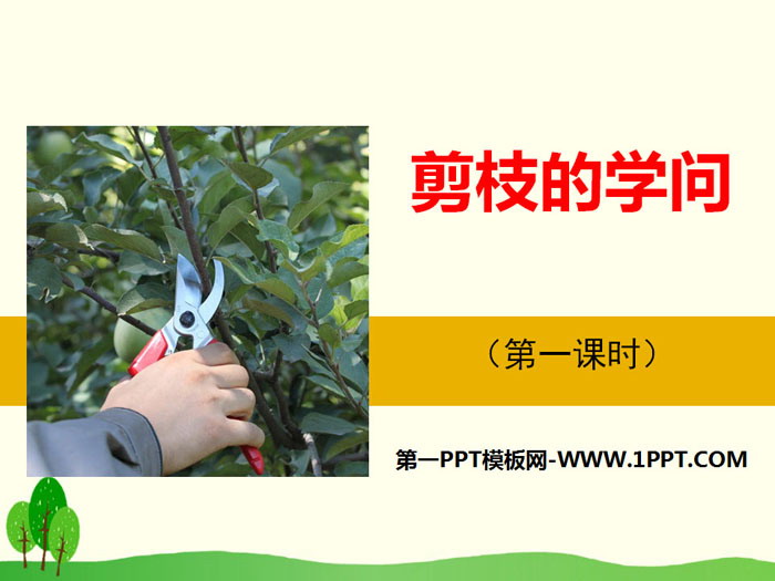 "The Knowledge of Pruning" PPT
