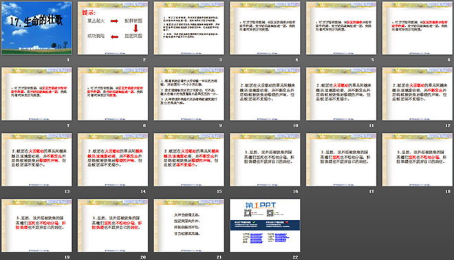 《生命的壮歌》PPT课件
(2)