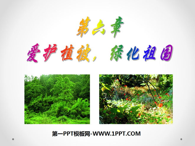 "Care for vegetation and green the motherland" PPT courseware 3