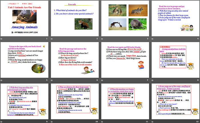 《Amazing Animals》Animals Are Our Friends PPT（2）