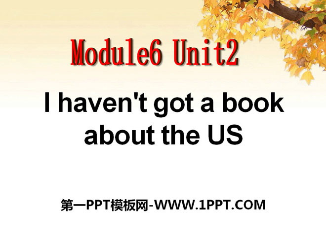 《I haven't got a book about the US》PPT課件2
