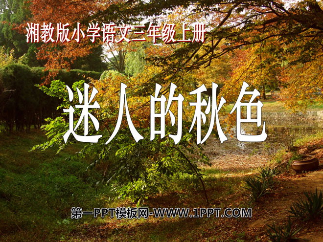 "Charming Autumn Colors" PPT Courseware 2