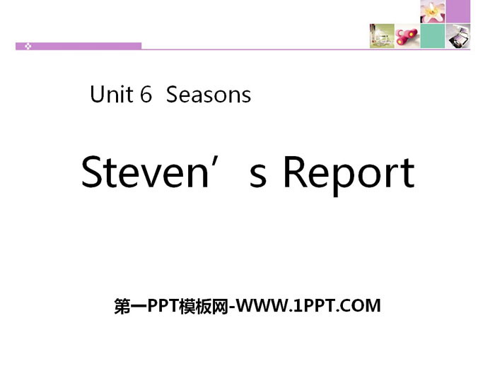 《Steven's Report》Seasons PPT下载