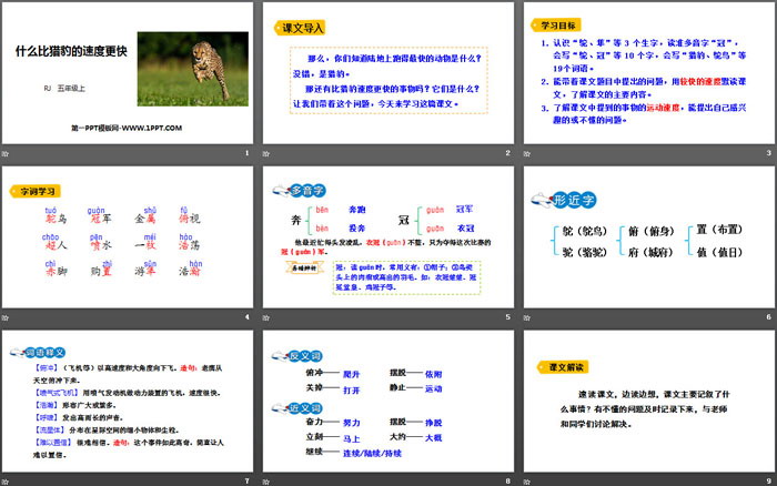 《什么比猎豹的速度更快》PPT优质课件（2）