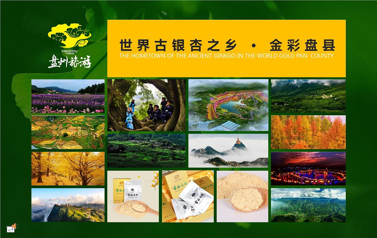 New specialty product in Pan County, Guizhou Ancient Ginkgo Powder